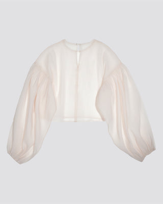 SHEER VOLUMESLEEVE BLOUSE