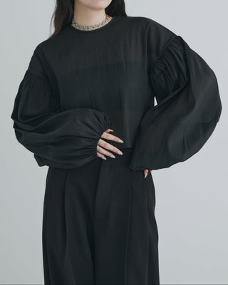 SHEER VOLUMESLEEVE BLOUSE