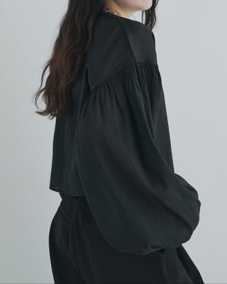 SHEER VOLUMESLEEVE BLOUSE