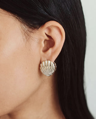 SHELL PIERCE