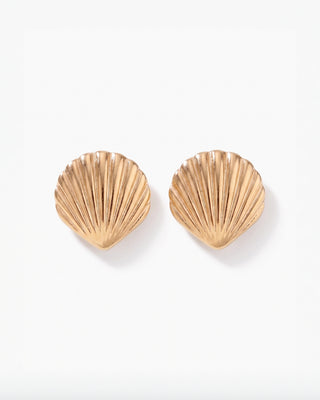 SHELL PIERCE